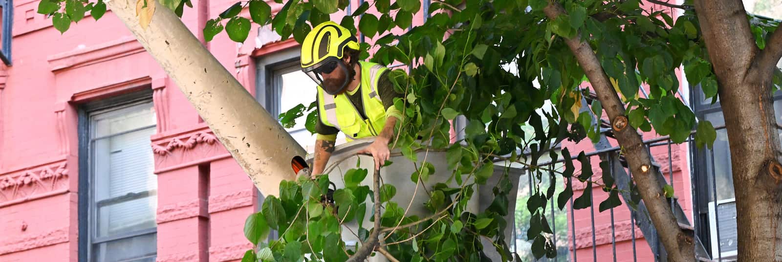 Tree Pruning